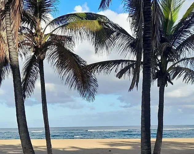 Apartament Chez Frois Las Palmas de Gran Canaria